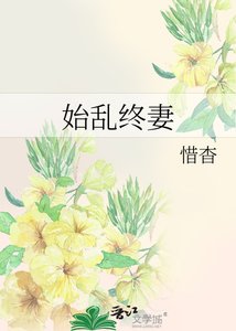 始亂終妻