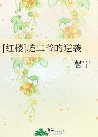 [红楼]琏二爷的逆袭